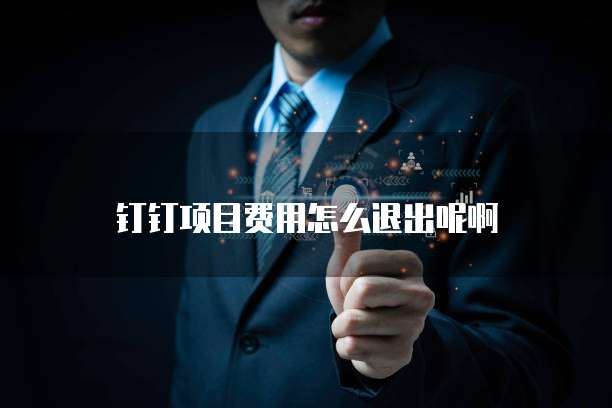 钉钉项目费用怎么退出呢啊