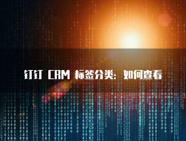 钉钉 CRM 标签分类:如何查看