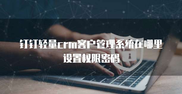 钉钉轻量crm客户管理系统在哪里设置权限密码