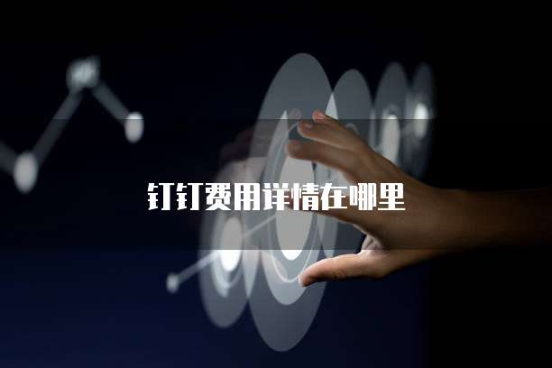 钉钉费用详情在哪里