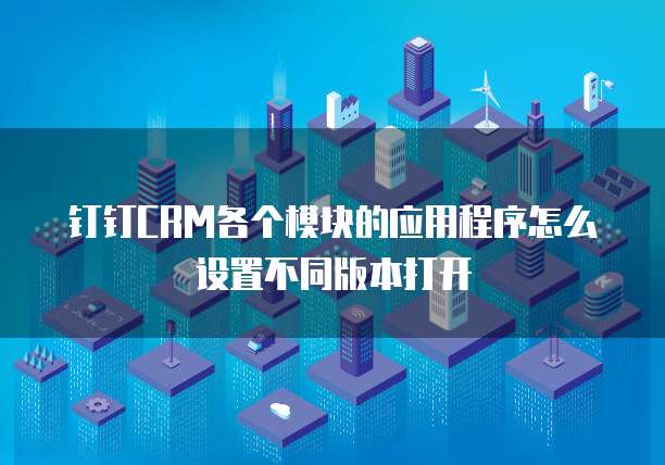 钉钉CRM各个模块的应用程序怎么设置不同版本打开