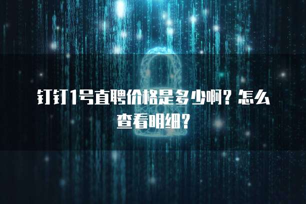 钉钉1号直聘价格是多少啊?怎么查看明细?