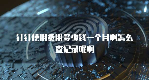 钉钉使用费用多少钱一个月啊怎么查记录呢啊
