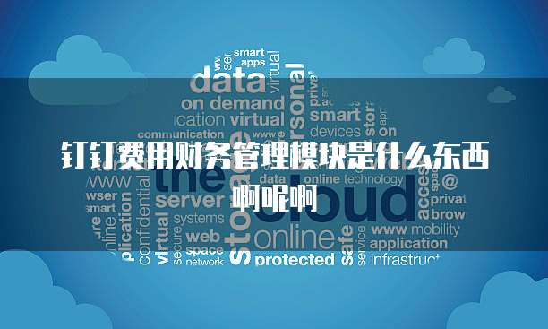 钉钉费用财务管理模块是什么东西啊呢啊