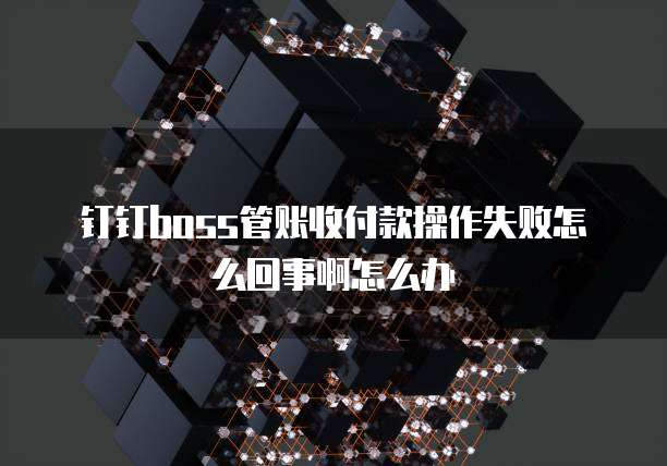 钉钉boss管账收付款操作失败怎么回事啊怎么办