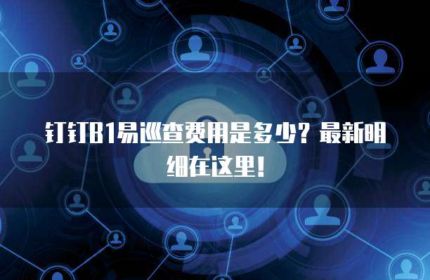 钉钉B1易巡查费用是多少?最新明细在这里!
