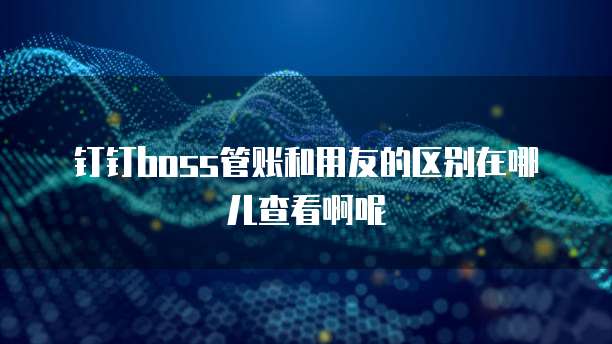 钉钉boss管账和用友的区别在哪儿查看啊呢