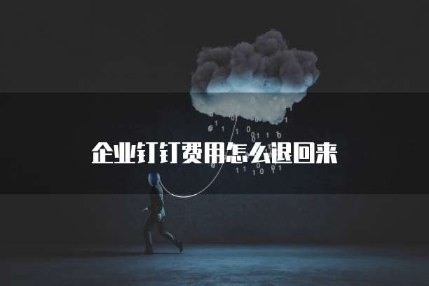 企业钉钉费用怎么退回来