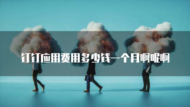 钉钉应用费用多少钱一个月啊呢啊