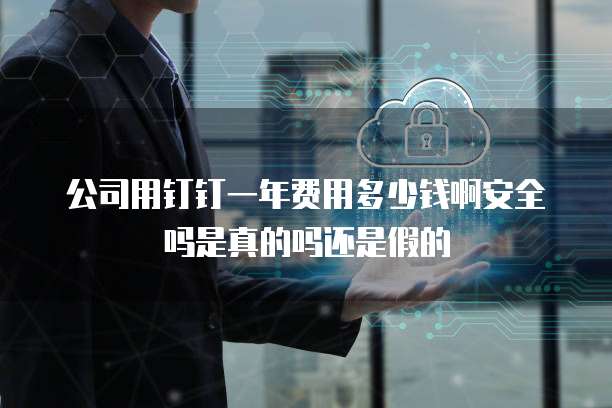 公司用钉钉一年费用多少钱啊安全吗是真的吗还是假的