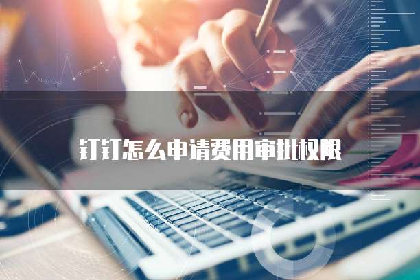 钉钉怎么申请费用审批权限