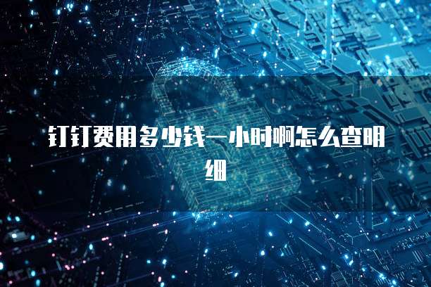 钉钉费用多少钱一小时啊怎么查明细