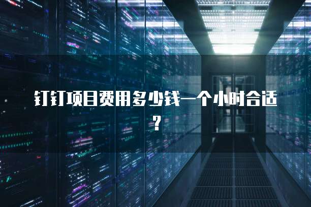 钉钉项目费用多少钱一个小时合适?