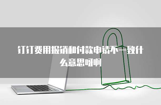 钉钉费用报销和付款申请不一致什么意思呀啊