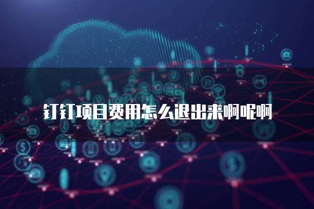 钉钉项目费用怎么退出来啊呢啊