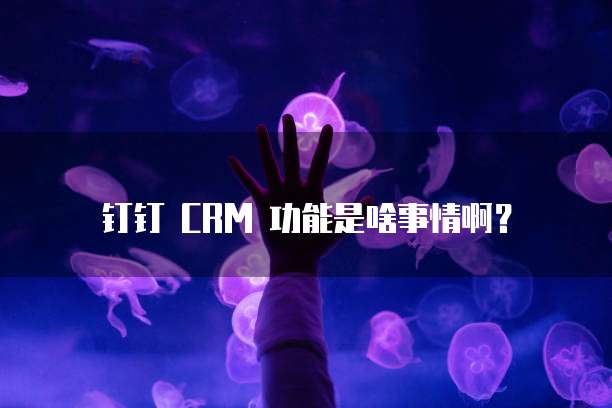 钉钉 CRM 功能是啥事情啊?