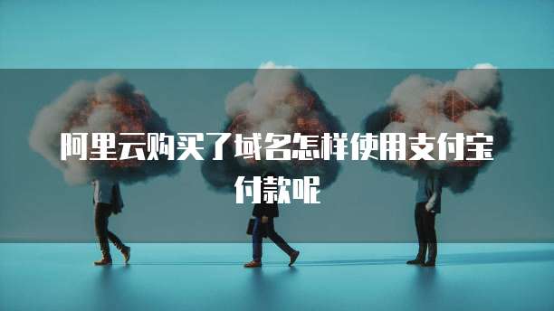 租用阿里云服务器有哪些公司参与运营的项目