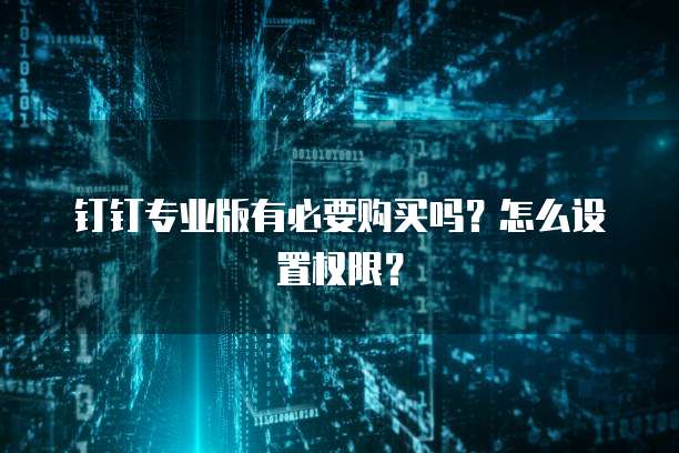 钉钉专业版有必要购买吗?怎么设置权限?