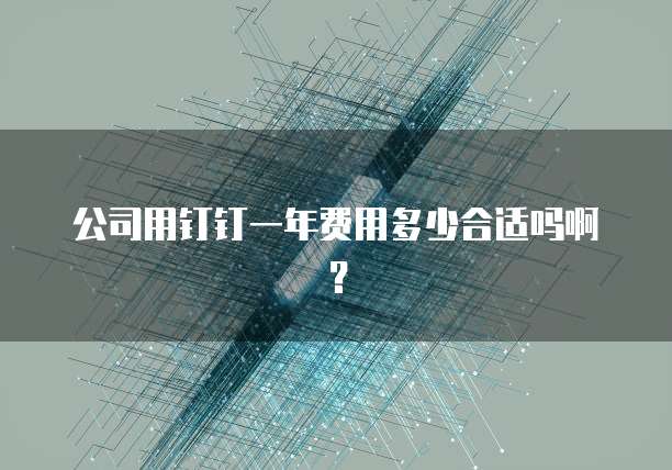 公司用钉钉一年费用多少合适吗啊?