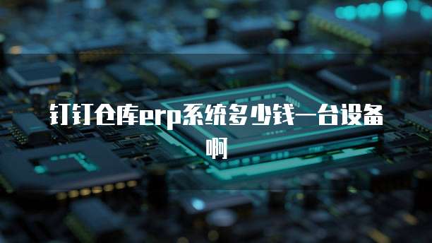 钉钉仓库erp系统多少钱一台设备啊