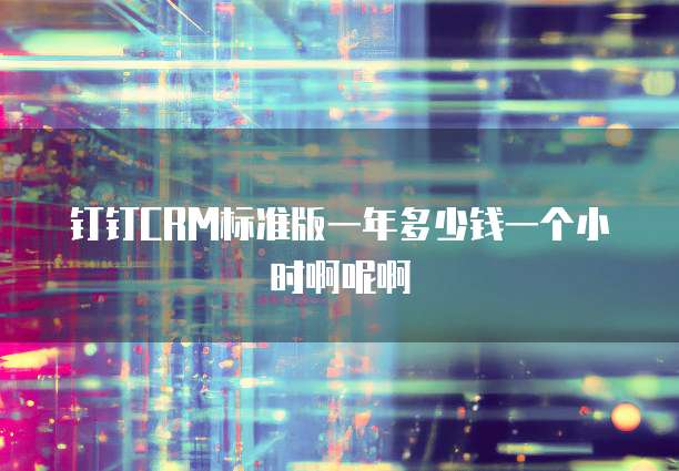钉钉CRM标准版一年多少钱一个小时啊呢啊