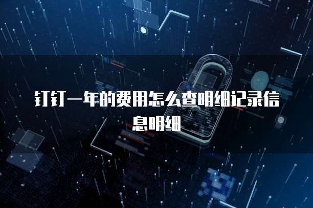 钉钉一年的费用怎么查明细记录信息明细