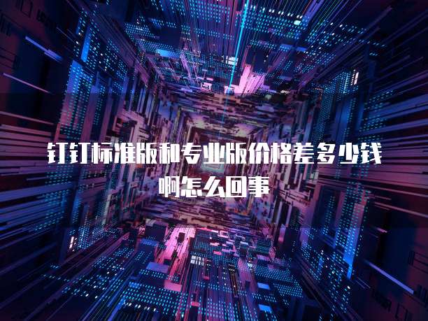 钉钉标准版和专业版价格差多少钱啊怎么回事