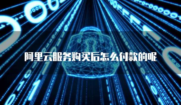 阿里云服务购买后怎么付款的呢