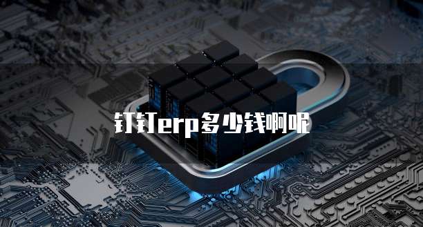 钉钉erp多少钱啊呢