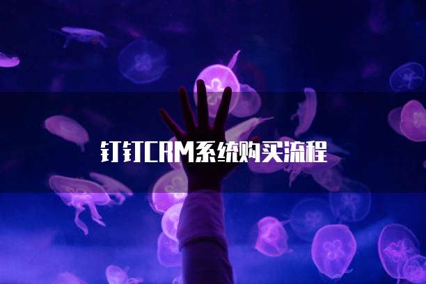 钉钉CRM系统购买流程
