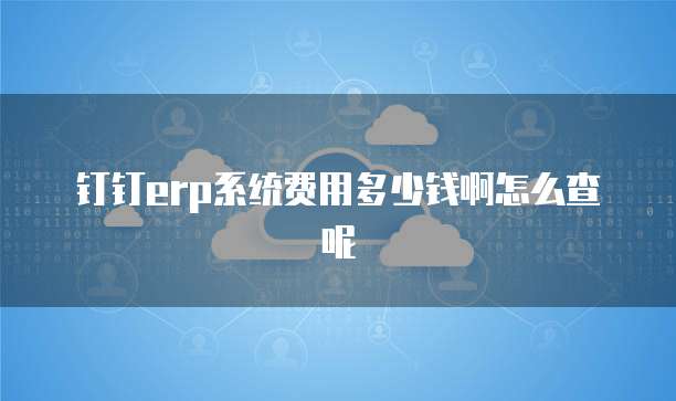 钉钉erp系统费用多少钱啊怎么查呢
