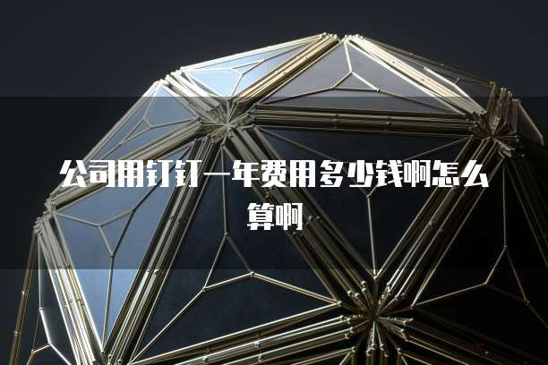公司用钉钉一年费用多少钱啊怎么算啊