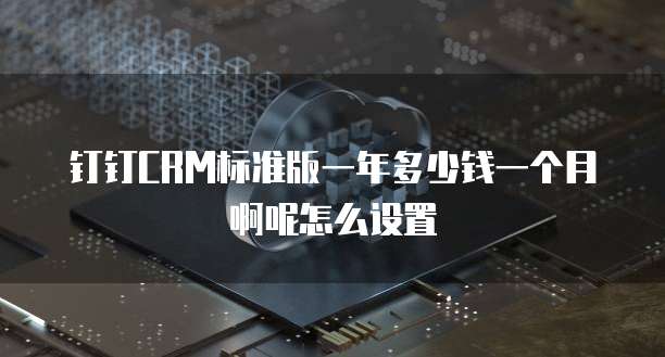 钉钉CRM标准版一年多少钱一个月啊呢怎么设置