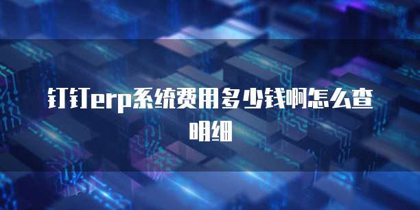 钉钉erp系统费用多少钱啊怎么查明细