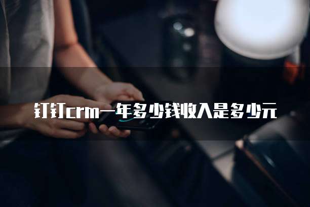 钉钉crm一年多少钱收入是多少元