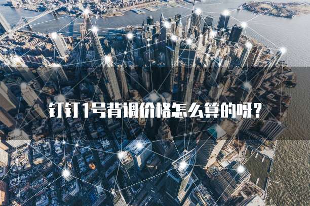 钉钉1号背调价格怎么算的呀？