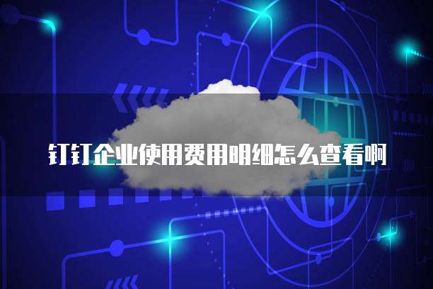 钉钉企业使用费用明细怎么查看啊