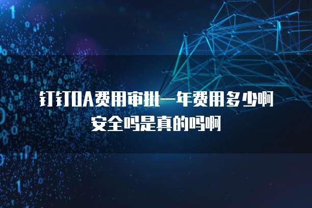 钉钉OA费用审批一年费用多少啊安全吗是真的吗啊