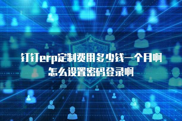 钉钉erp定制费用多少钱一个月啊怎么设置密码登录啊