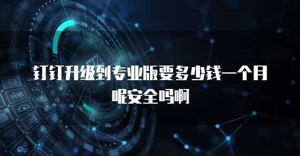 钉钉升级到专业版要多少钱一个月呢安全吗啊