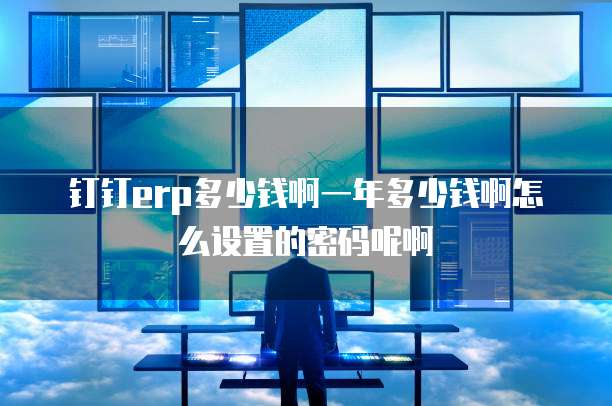 钉钉erp多少钱啊一年多少钱啊怎么设置的密码呢啊