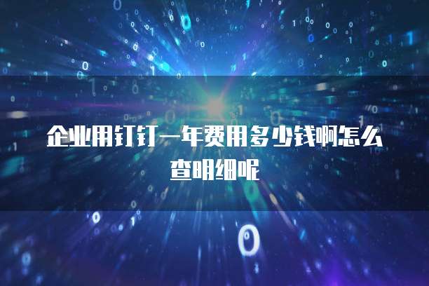企业用钉钉一年费用多少钱啊怎么查明细呢