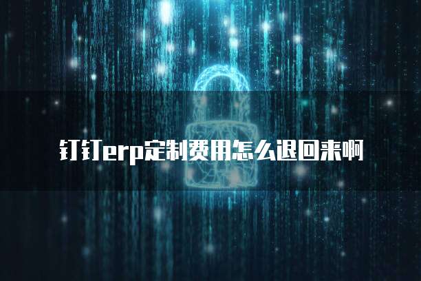 钉钉erp定制费用怎么退回来啊