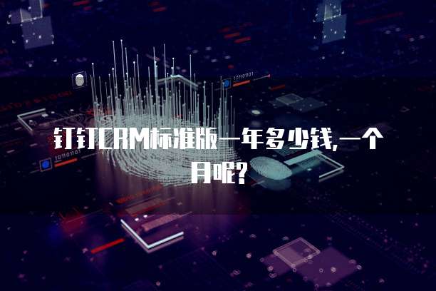 钉钉CRM标准版一年多少钱,一个月呢?