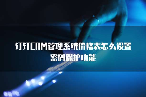 钉钉CRM管理系统价格表怎么设置密码保护功能