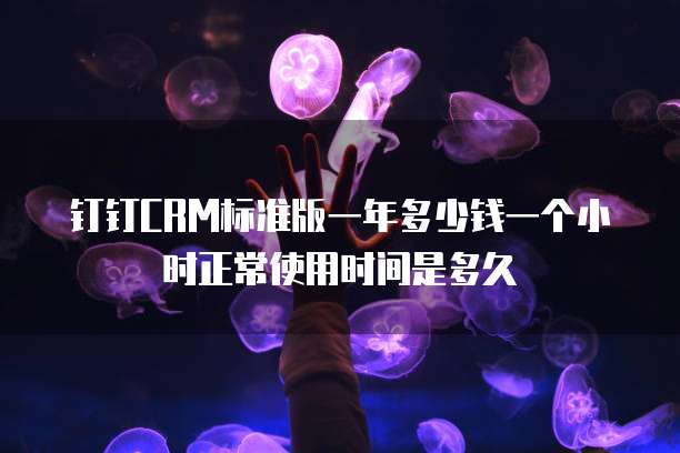 钉钉CRM标准版一年多少钱一个小时正常使用时间是多久