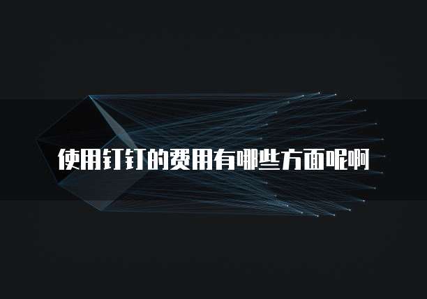 使用钉钉的费用有哪些方面呢啊