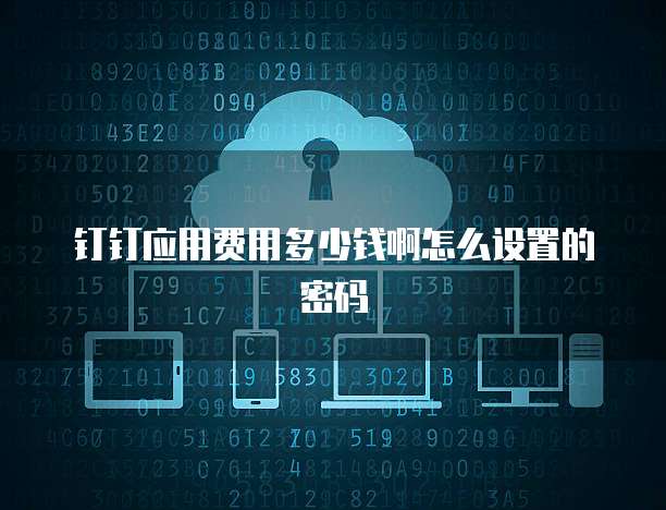 钉钉应用费用多少钱啊怎么设置的密码