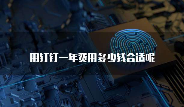用钉钉一年费用多少钱合适呢