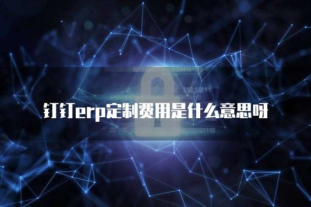 钉钉erp定制费用是什么意思呀